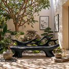 Sculptural Outdoor Solid Wood Bench with Flowing Branch Backrest