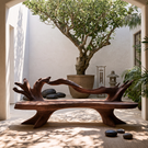 Handcrafted Outdoor Solid Wood Bench with Sculptural Branch Backrest