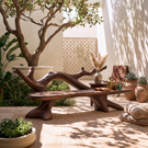 Organic Solid Wood Garden Bench with Natural Branch Backrest
