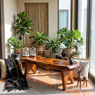 Live Edge Solid Wood Outdoor Bench with Sculptural Tapered Legs