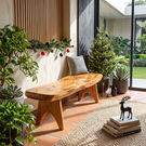 Live Edge Solid Wood Outdoor Bench with Sculptural Tapered Legs