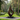 Outdoor Teardrop Solid Wood Sculpture for Modern Abstract Garden Art